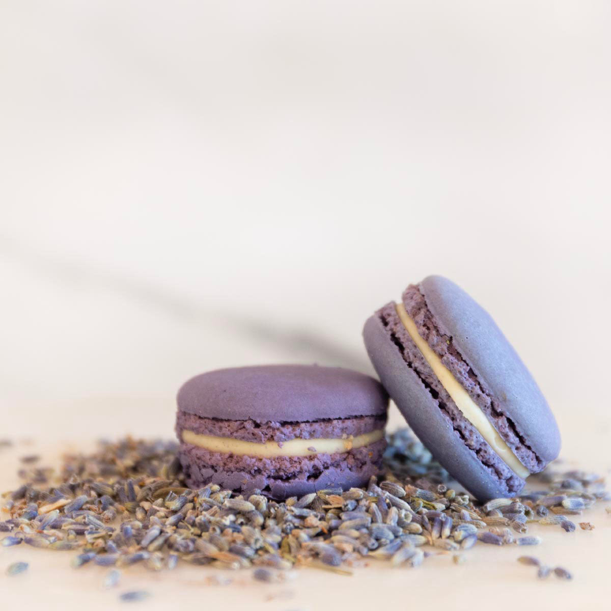 6 Macarons
