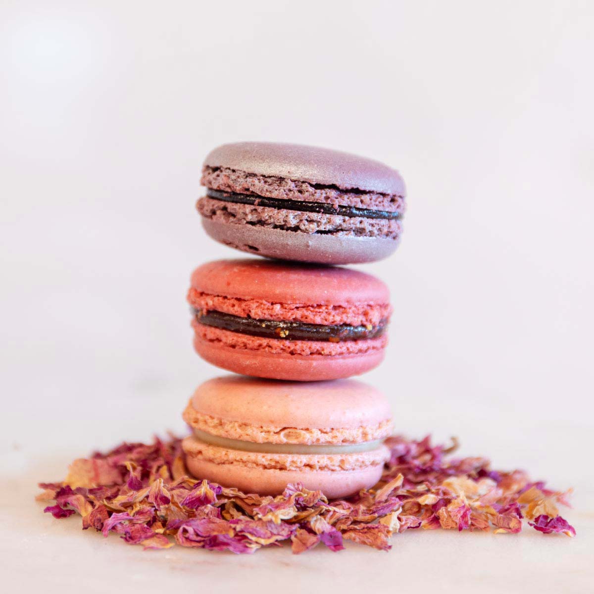 6 Macarons